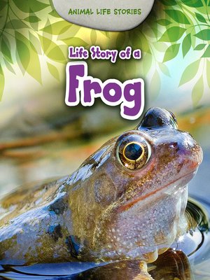 cover image of Life Story of a Frog
